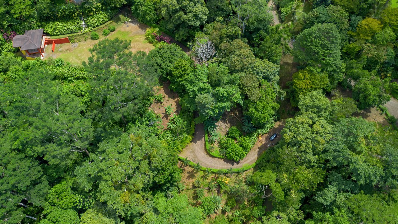 Build-Ready Ocean View Land with Guest House & Fruit Orchard | Tres Rios, Costa Rica - Gallery image 23