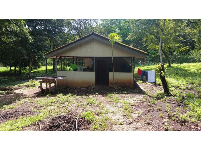 Tamarindo horse farm with two houses, a barn in the best natural setting - Gallery image 46