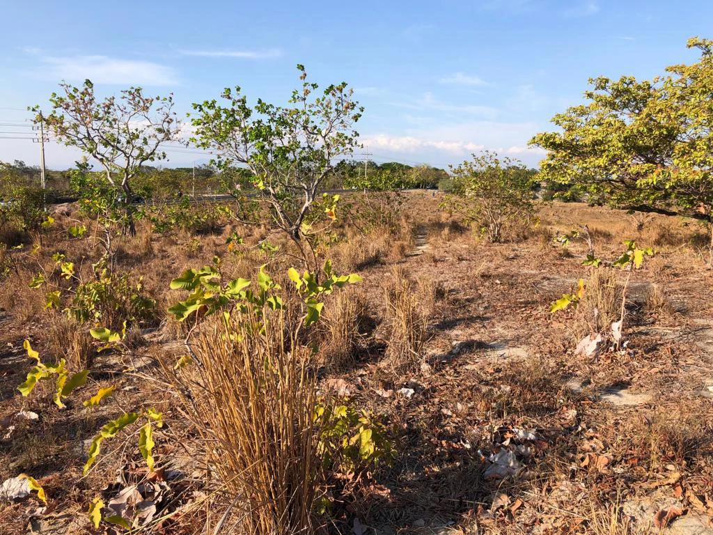 Airport Property - in front of route 21, Liberia - Gallery image 20