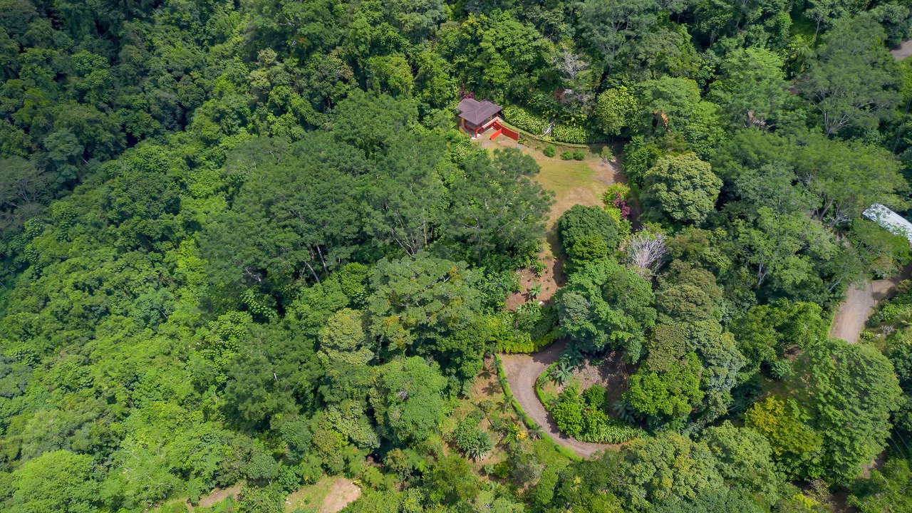 Build-Ready Ocean View Land with Guest House & Fruit Orchard | Tres Rios, Costa Rica - Gallery image 20