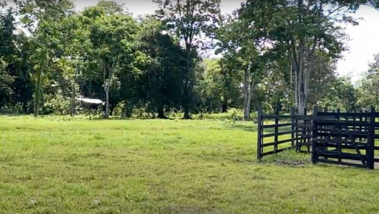 Westfalia, Matama: Countryside and Near the Coast Home Construction Site For Sale in Beverley - Gallery image 3
