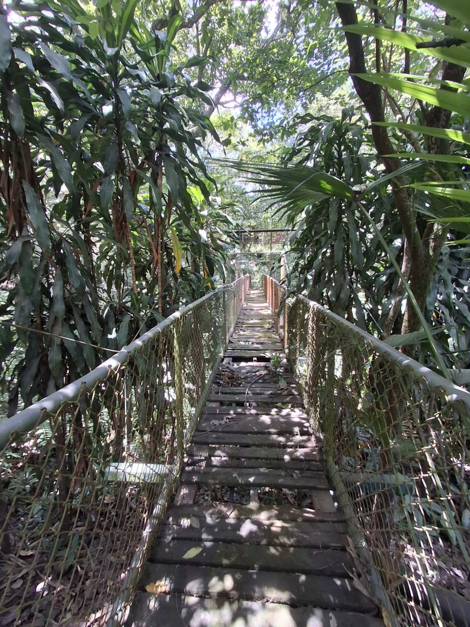Large-Scale Investment: 108 ha. Industrial Rock Quarry & Diversified Investment Property - Gallery image 30