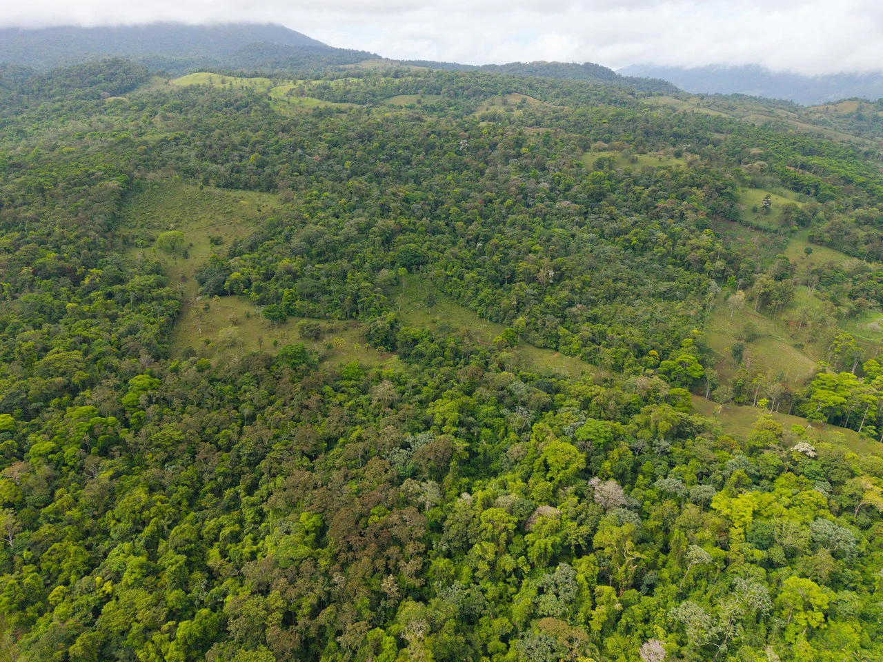 Finca Las Zompopas-Río Celeste: 113-Acre Biodiverse Property in Bijagua, Ideal for Eco-Tourism, Private Retreats, or Sustainable Development - Gallery image 14