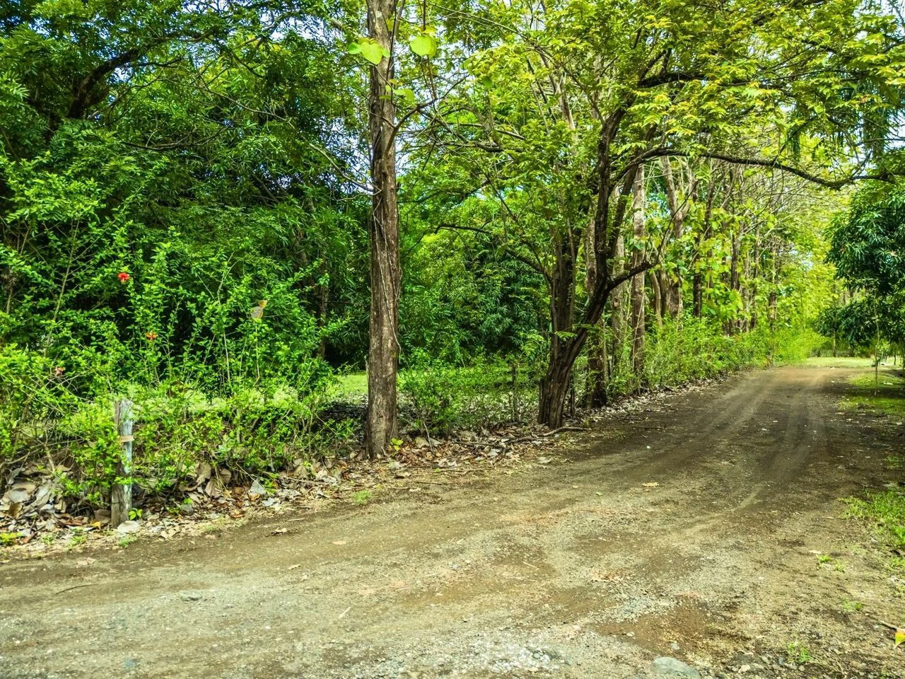 Marbella Dream Lot: 2.4 Acres of Natural Beauty Near the Beach - Gallery image 9