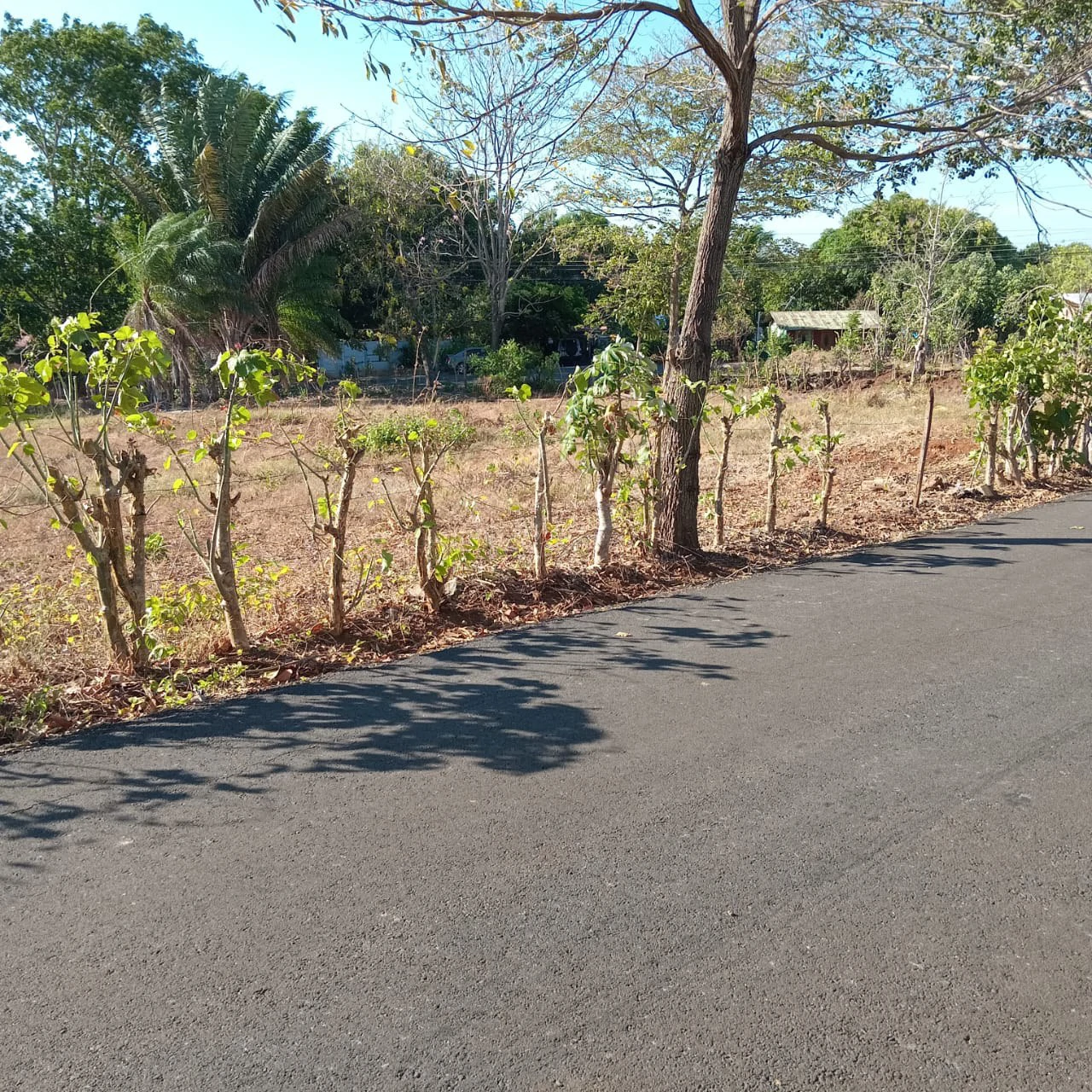 Investment Opportunity in Labrador de San Mateo - Gallery image 3