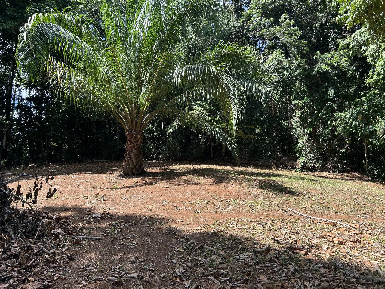 Cabo Matapalo:  3.8 Acre Ocean View Lot In Peninsula De Osa, Golfo Dulce - Gallery image 12