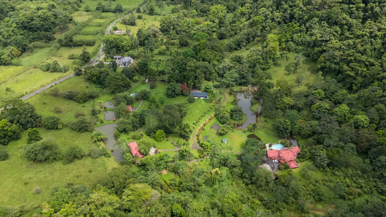 Finca Mei Tai: Enchanting property! Don't miss your chance to own a piece of paradise! - Gallery image 19