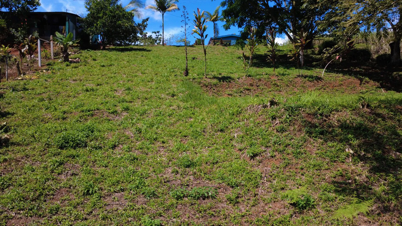 Countryside Home Construction Site For Sale in San Pedro - Gallery image 3