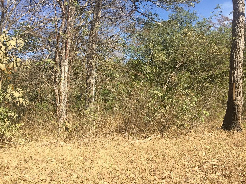 Excelente oportunidad: Excellent opportunity. Big property close to Playa Potrero - Gallery image 6