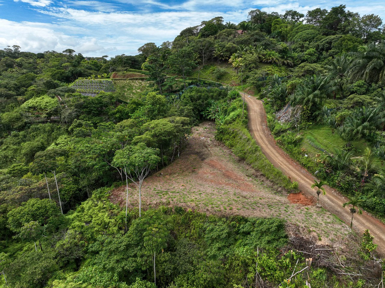 Ocean, Mountain View Ready to Build Lot on Desired Calle Perezoso - photo 2