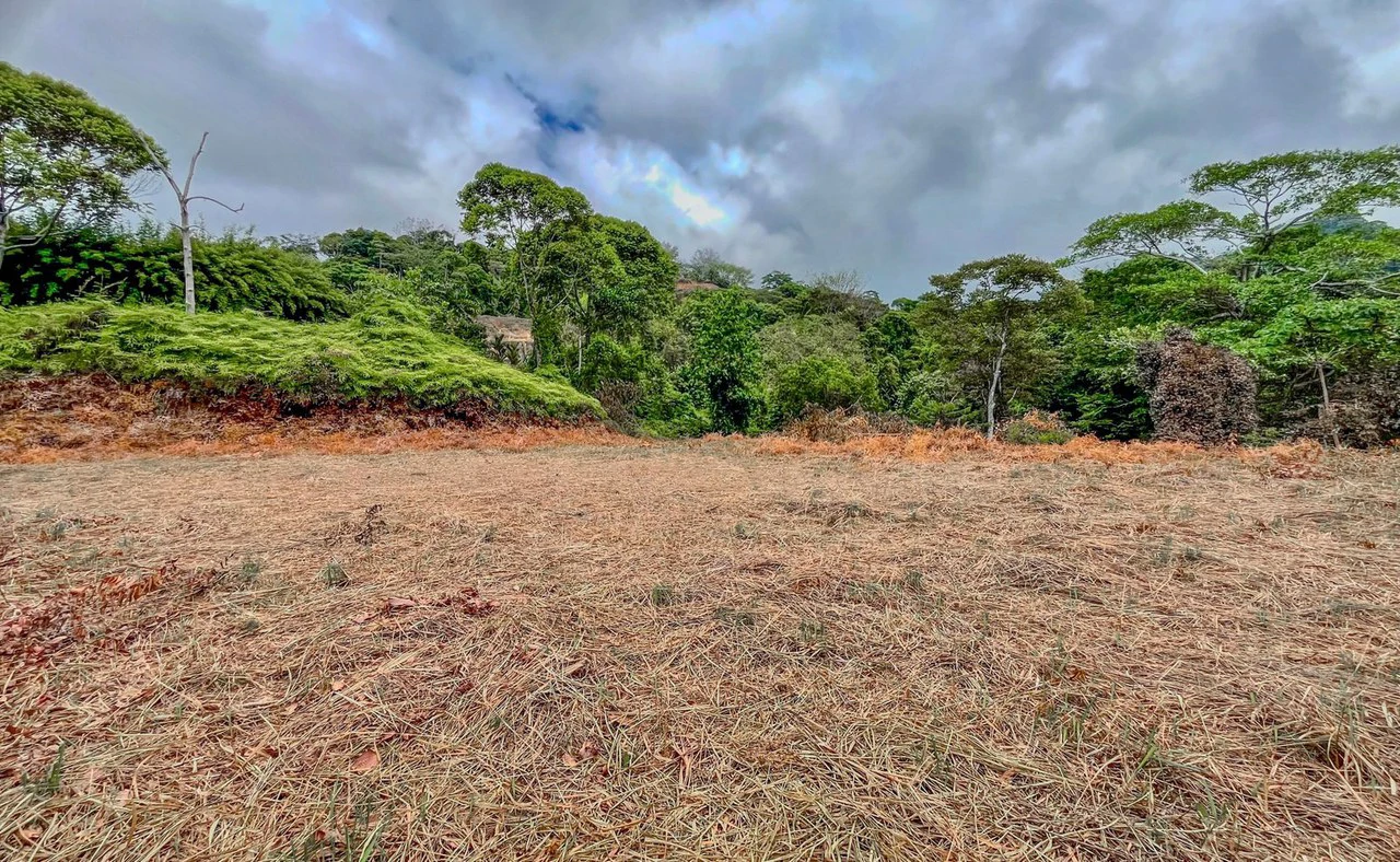 1.32 ACRES- Spectacular Ocean View In Tres Rios, Large Building Site, Legal Water And Electricity, Ready To Build & Close to Beaches!! - Gallery image 6