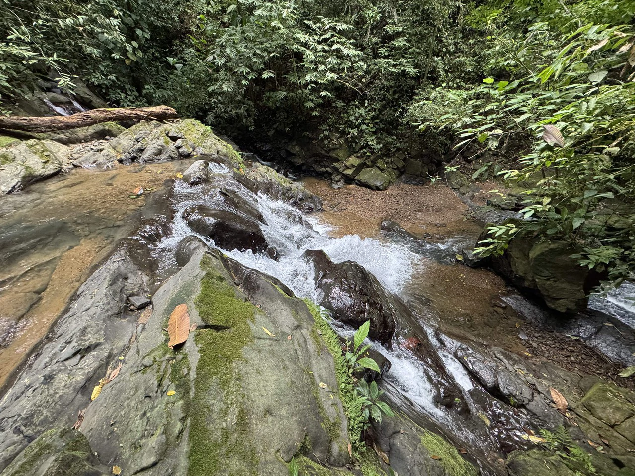 23.5 Acre Waterfall & Riverfront Estate Bahia Ballena Osa Peninsula - Gallery image 22