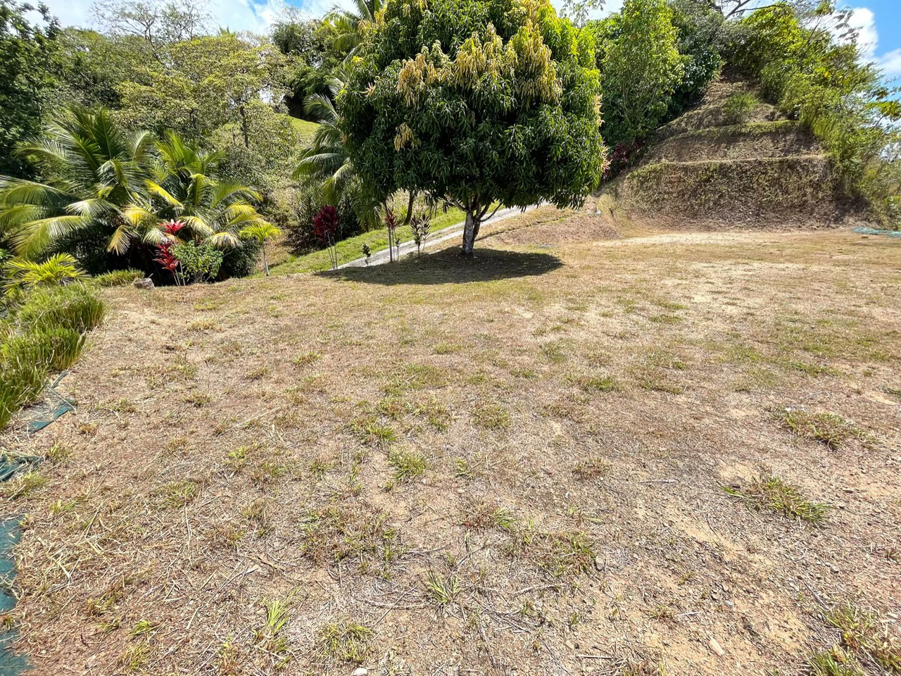 Whitewater Ocean View Front Ridge Land in Ojochal - Gallery image 10