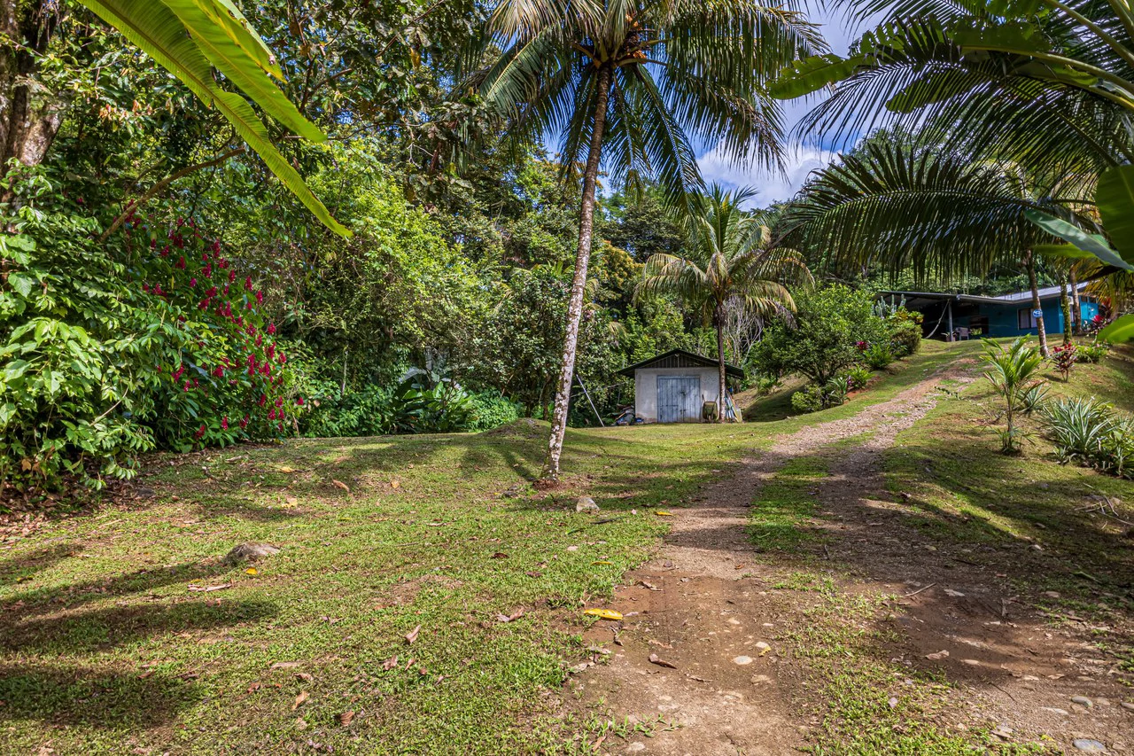 Tropical Hideaway – 7 Acres of Secluded Riverfront with a 3-Bedroom Home: Mountain House For Sale in Bahía Ballena - Gallery image 37