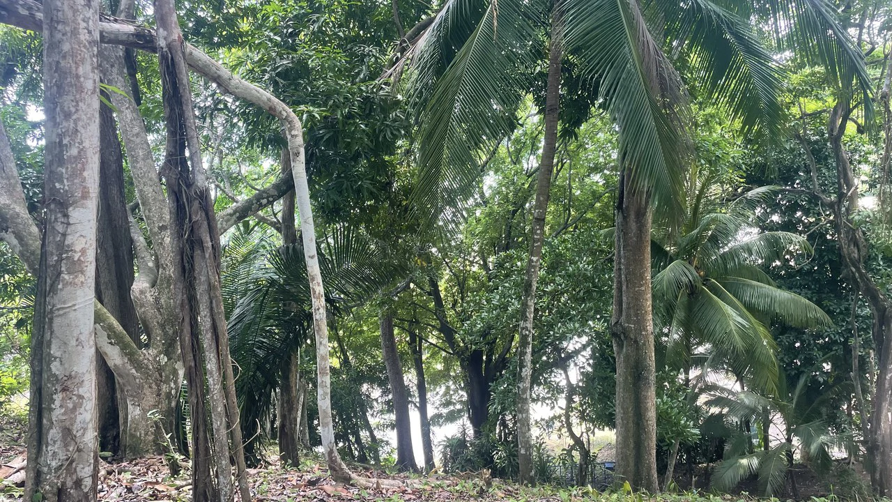 Lote playa Pita Puntarenas:    Your Opportunity on Costa Rica’s Central Pacific Coast - Gallery image 12