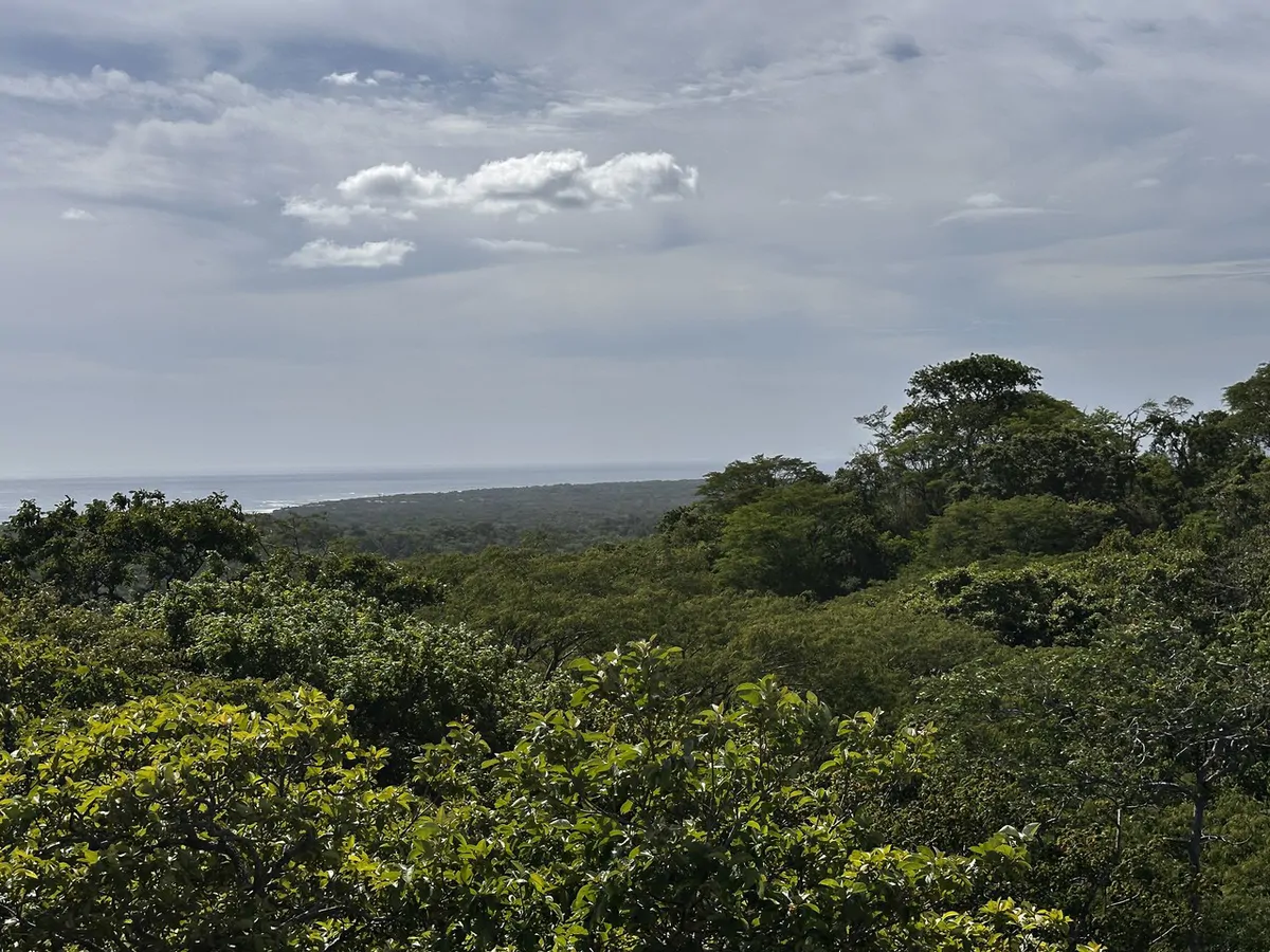 Ocean View Lot Negra Beach: Ocean View Hilltop Lot In Negra Beach, Finca Los Pargos