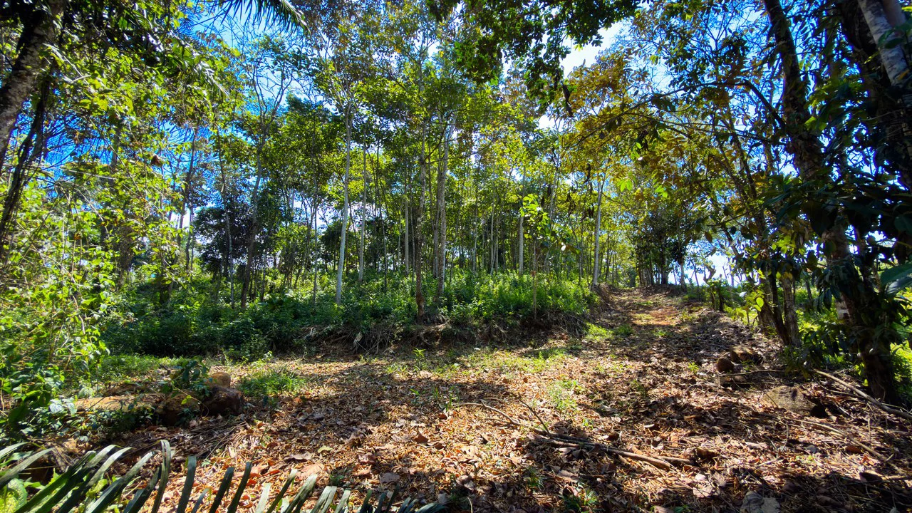 Countryside Home Construction Site For Sale in Cajón - Gallery image 14