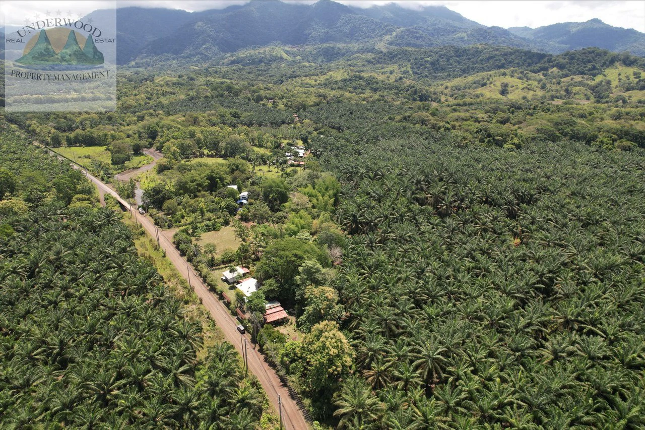 Perla Tropical Rio Seco: Great Opportunity for Sale with reduced price - Gallery image 28
