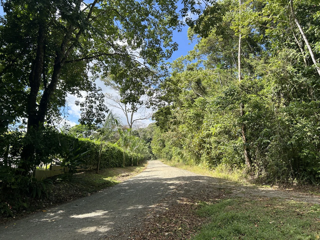 Cabo Matapalo: Jungle View Lot Priced To Sell! - Gallery image 4