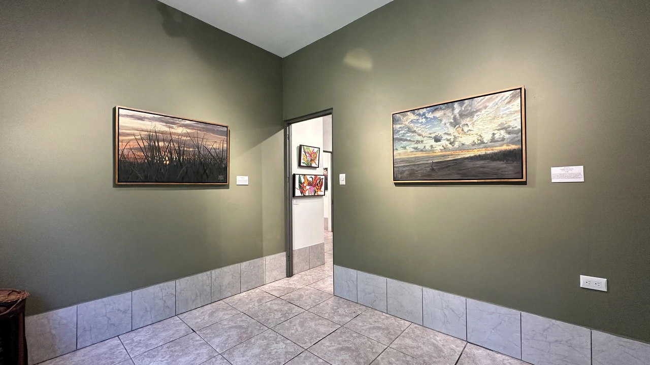Commercial Space In Prime High Traffic Area in Uvita Costa Rica with garden - Gallery image 8