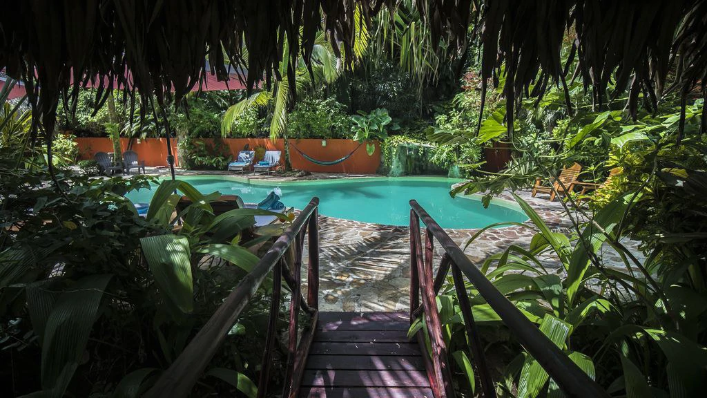 Samara Jungle Boutique Hotel: When Elegant & Romantic Bungalows Seamlessly Blend Into Nature's Bounty. - Gallery image 5