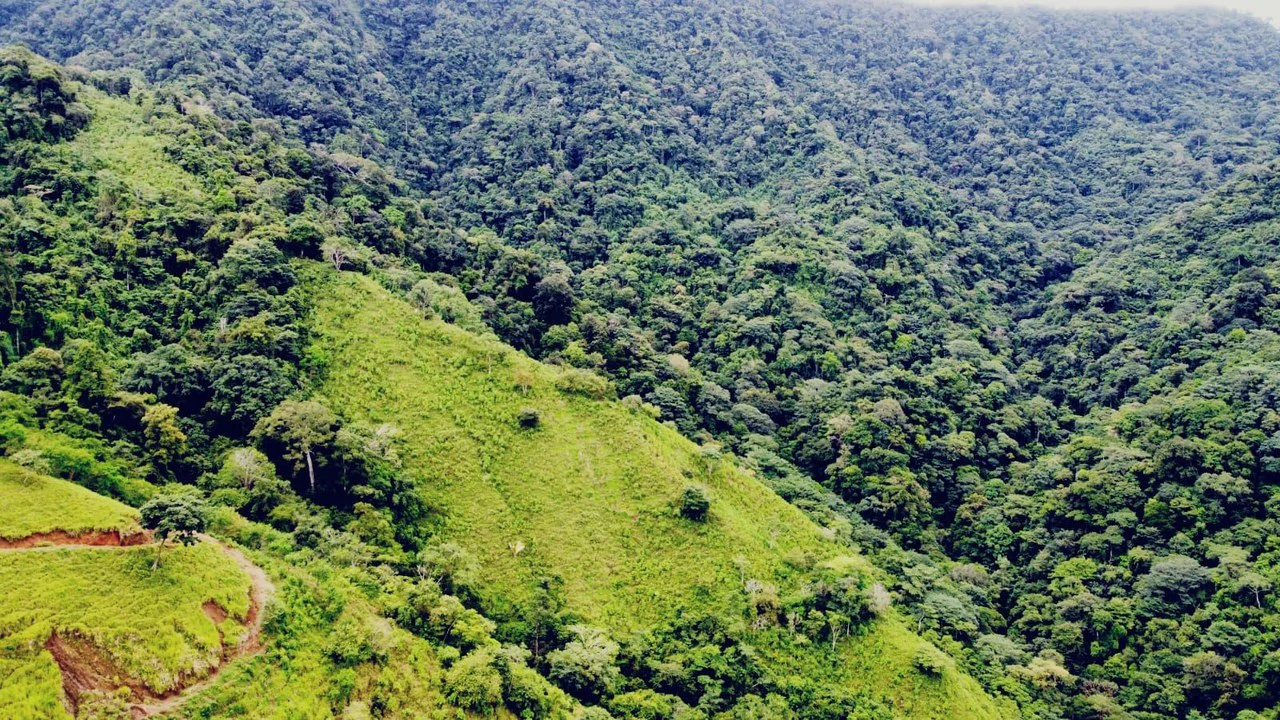 En venta, propiedad en Osa: Mountain Home Construction Site For Sale in Ciudad Cortés - Gallery image 11