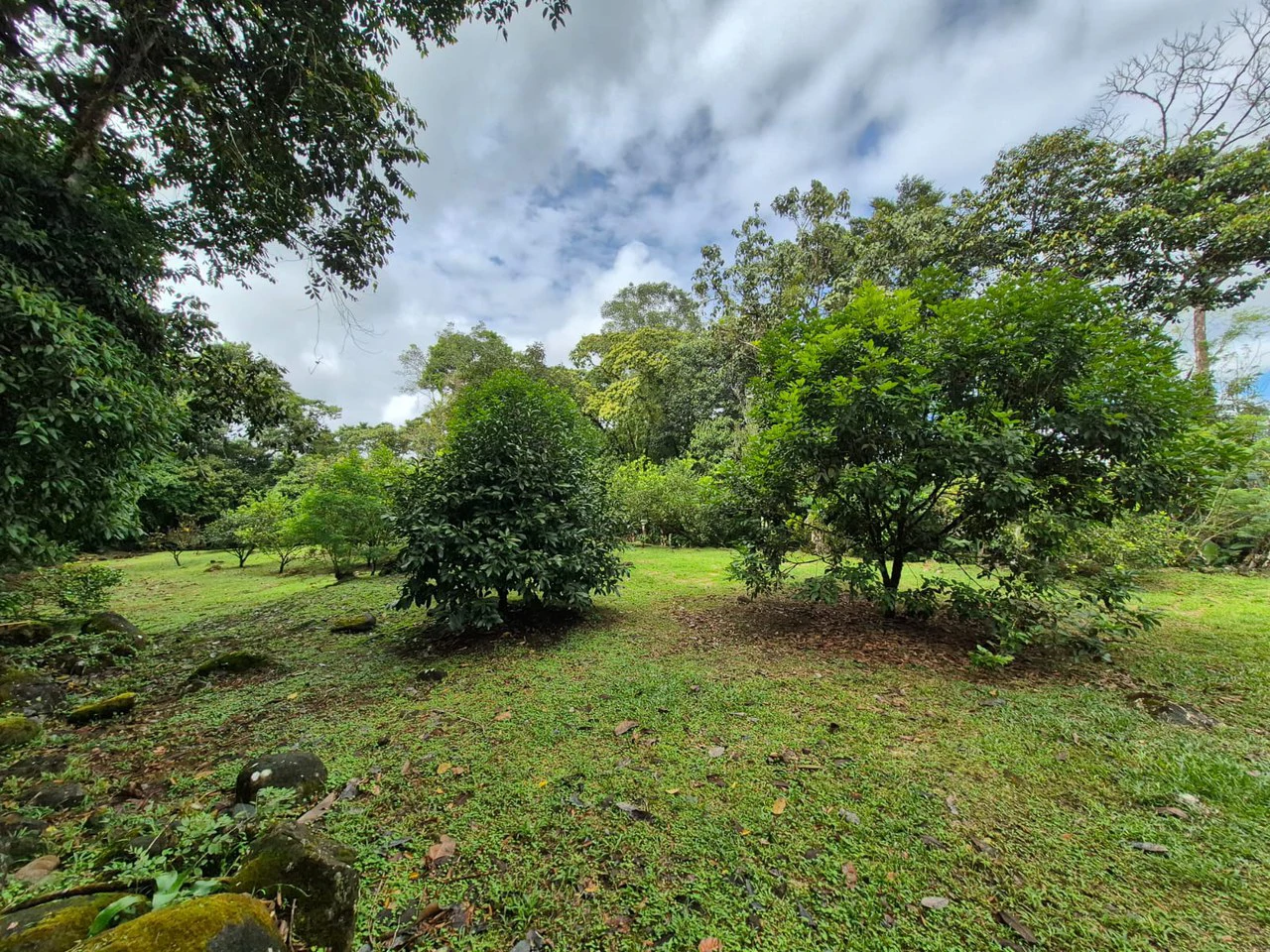 Mountain House For Sale in Santa Elena - Gallery image 2