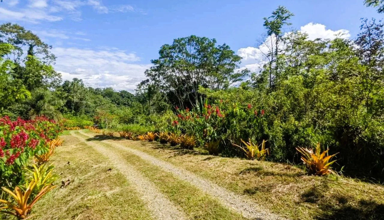 ID 4202: Affordable Lot inside the Gated Community with Owner Financing available - Gallery image 12