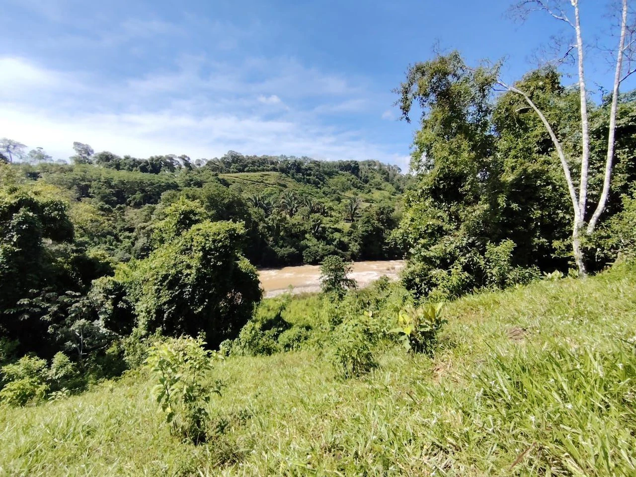 SE VENDE PROPIEDAD EN CAJÓN, COSTA RICA.: Mountain Home Construction Site For Sale in Cajón - Gallery image 16