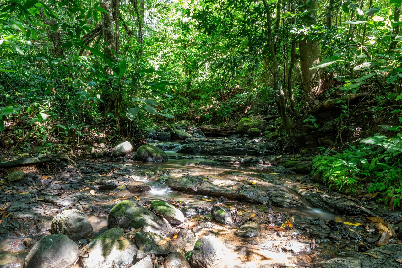Surfers Paradise! Two Usable Lots for Building in Playa Hermosa Near Uvita!!: Mountain Home Construction Site For Sale in Playa Hermosa - Gallery image 12