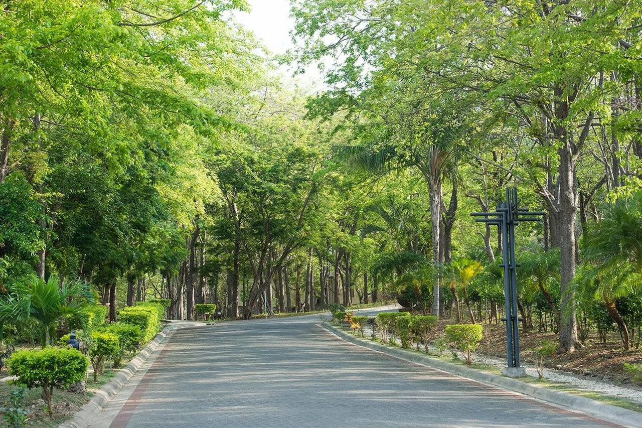 Senderos Lot 20 E: The Only Ocean View Lots in Tamarindo - Gallery image 3