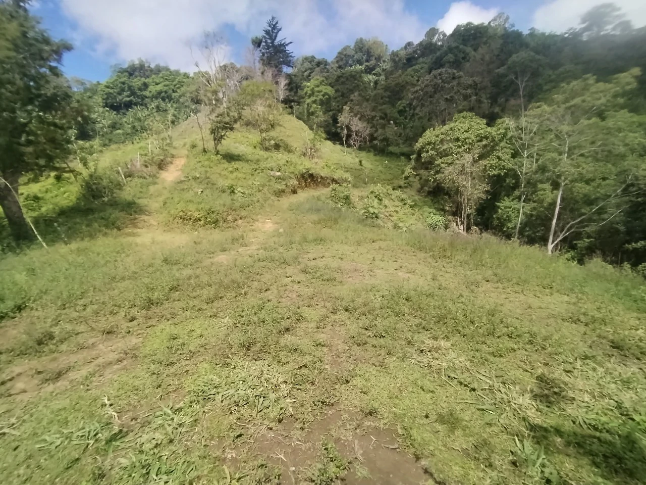 LOTE EN HERRADURA RIVAS.: Mountain Agricultural Land For Sale in San Isidro del General - Gallery image 18