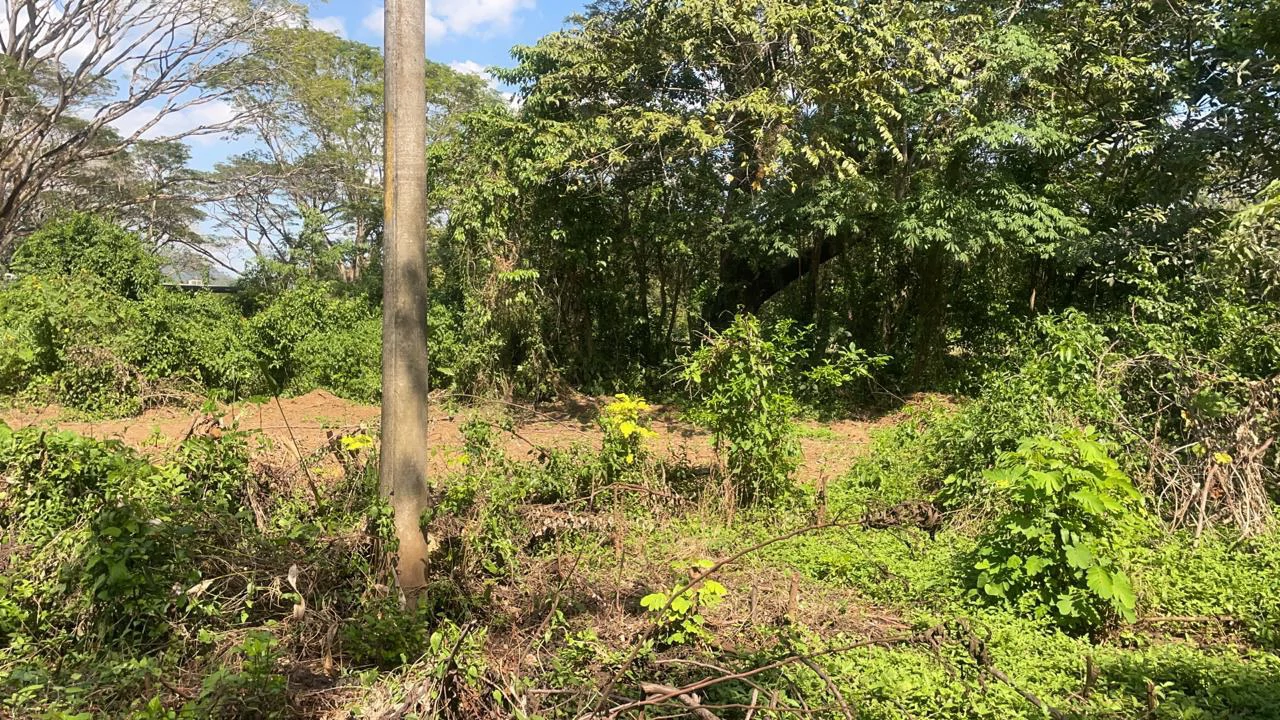 Private property for sale with a modern house and pool surrounded by the nature of Playa Samara – excellent investment opportunity - Gallery image 28