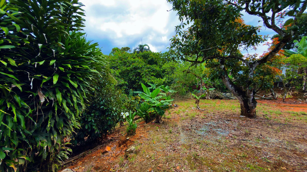 Countryside House For Sale in San Pedro - Gallery image 20