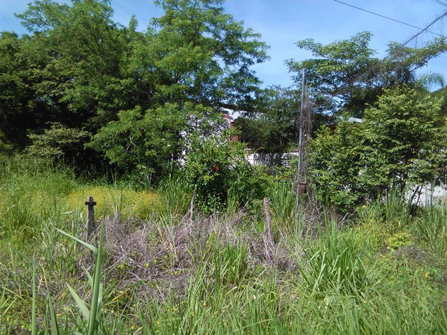 Discovery Park. Property with excellent location - Gallery image 3