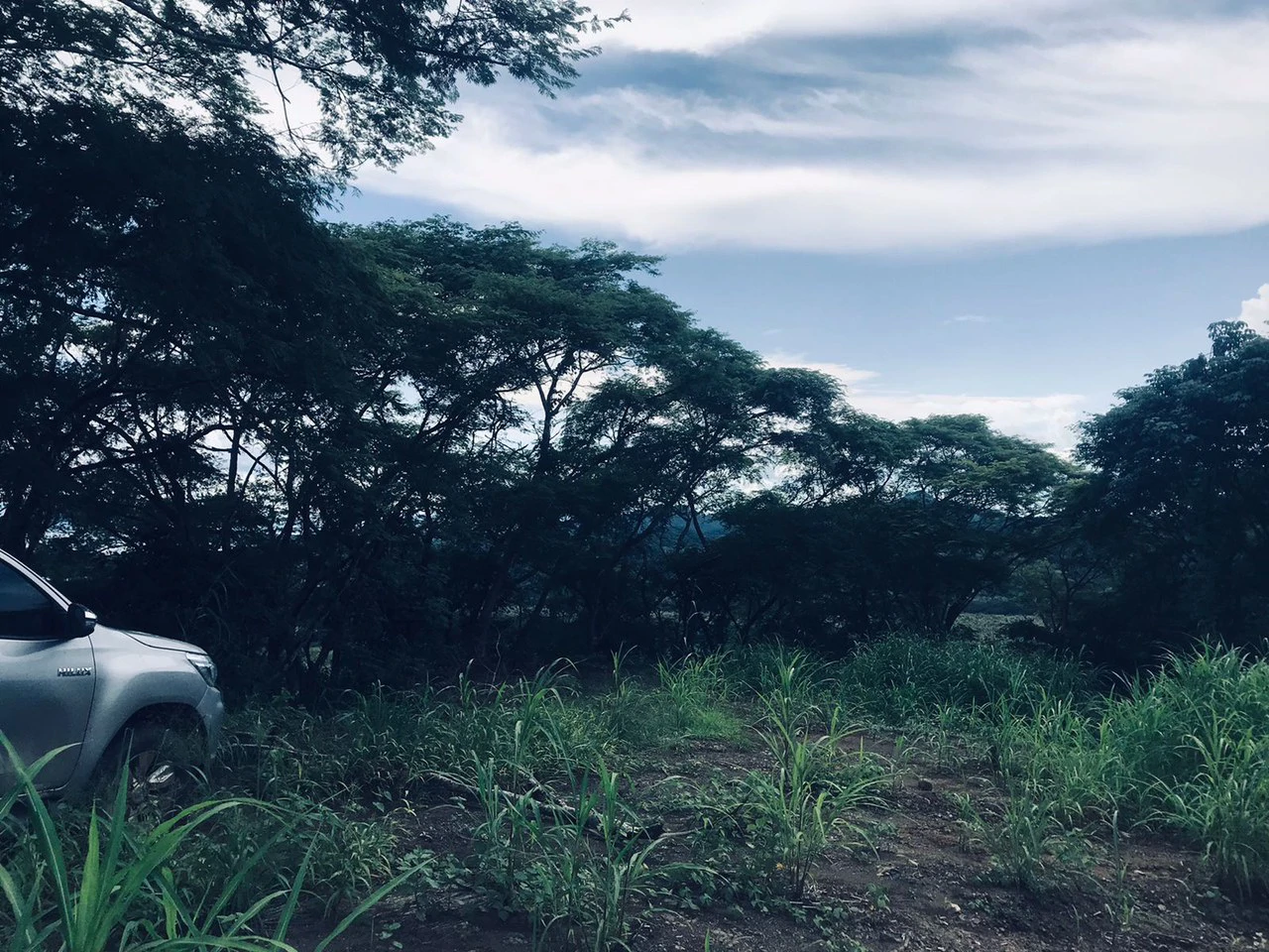 Amazing 50% discount for Huge ocean-view farm for sale surrounded by soft rolling hills and pristine nature - Gallery image 36