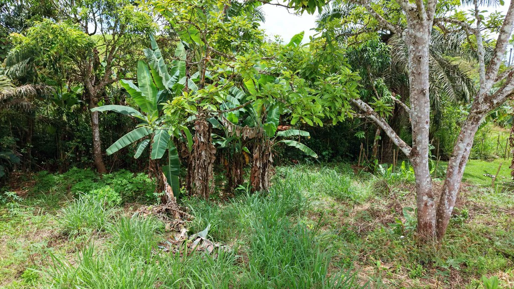 Home Construction Site For Sale in El Pilar - Gallery image 4