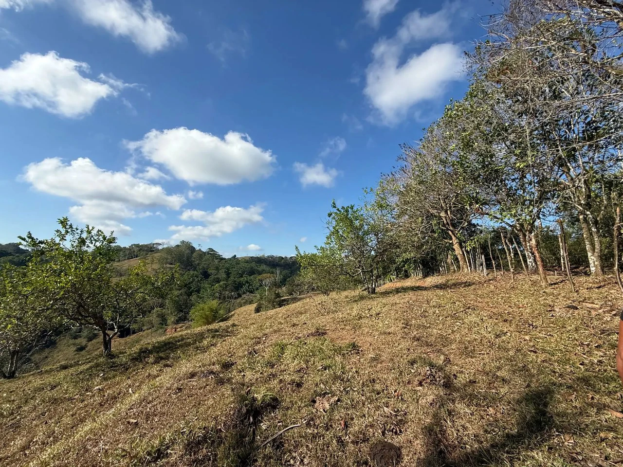 11.4 Hectare Mountain Estate: Lush Forest, River & Farm Potential in Arenal Puriscal , San Jose - Gallery image 9