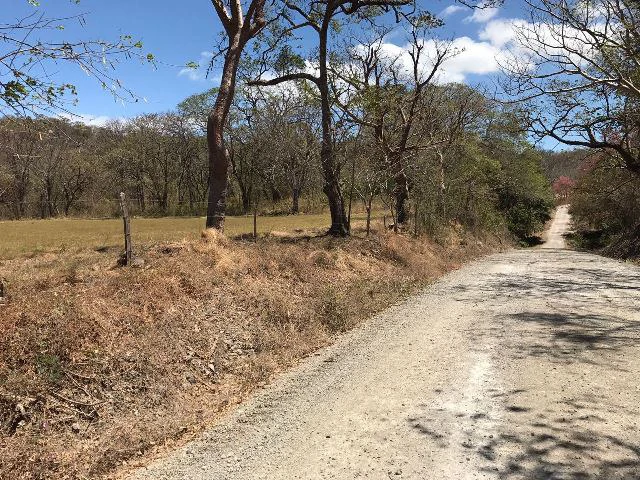 Huge terrain for sale in Guardia close to the International Airport of Liberia - Gallery image 11