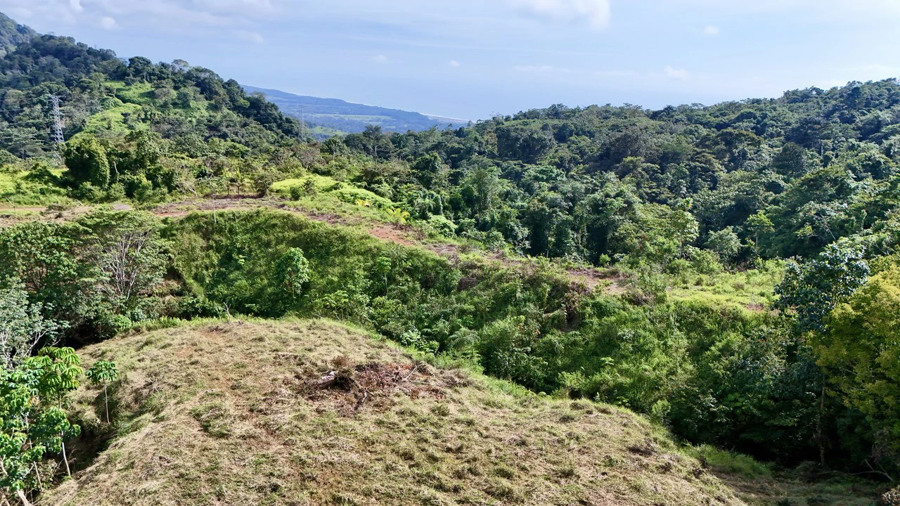 Off-Grid Ocean View Lot | 1.7 Acres in Las Nubes Matapalo Hills - Gallery image 8
