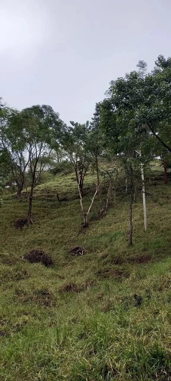 58 hectares: Ocean View Development Land for Sale in Tambor Costa Rica – 58 Hectares on the Nicoya Peninsula - Gallery image 7