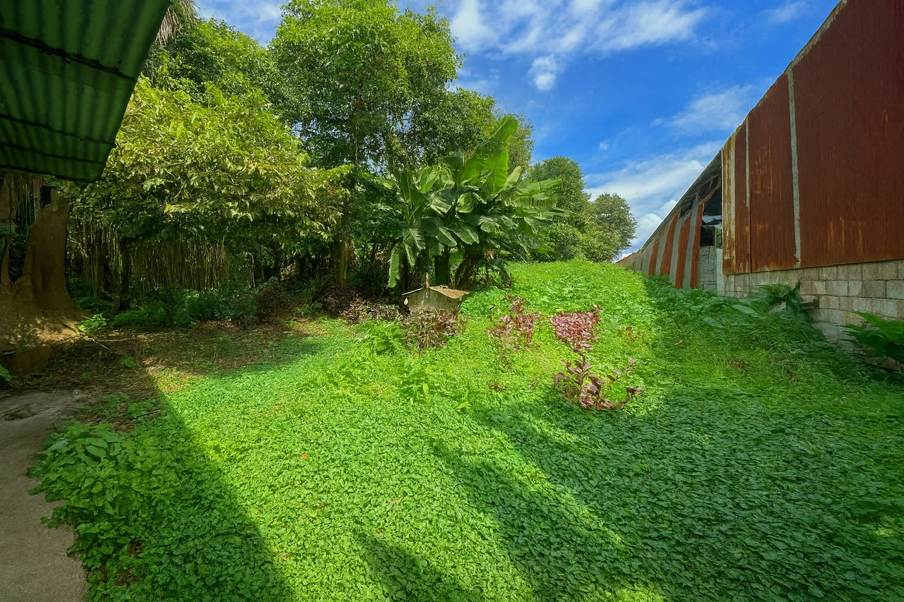 Barrio Pilar, Guadalupe: Development Lot for Sale in Barrio Pilar, Guadalupe – 2,227 m² with Mixed Land Use for Commercial or Residential Projects - Gallery image 10