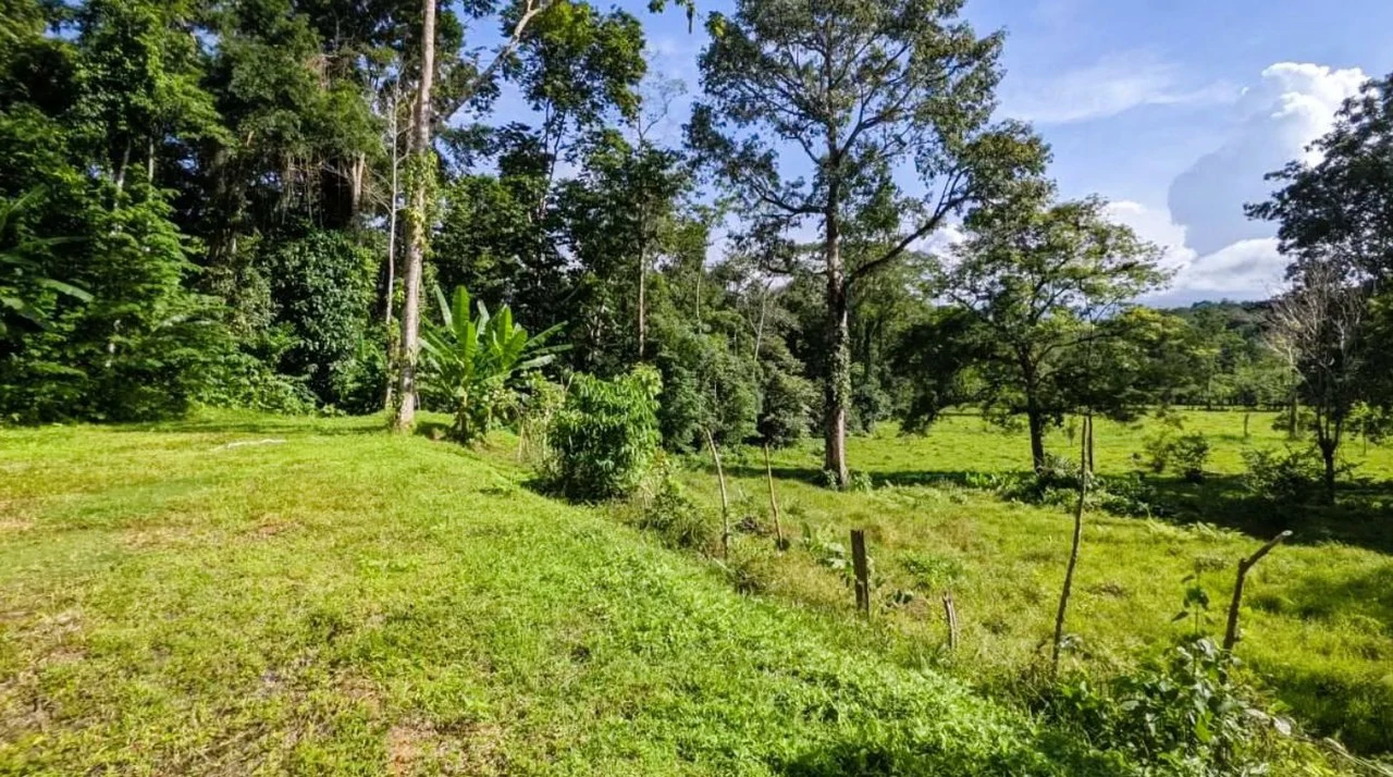ID 4202: Affordable Lot inside the Gated Community with Owner Financing available - Gallery image 10
