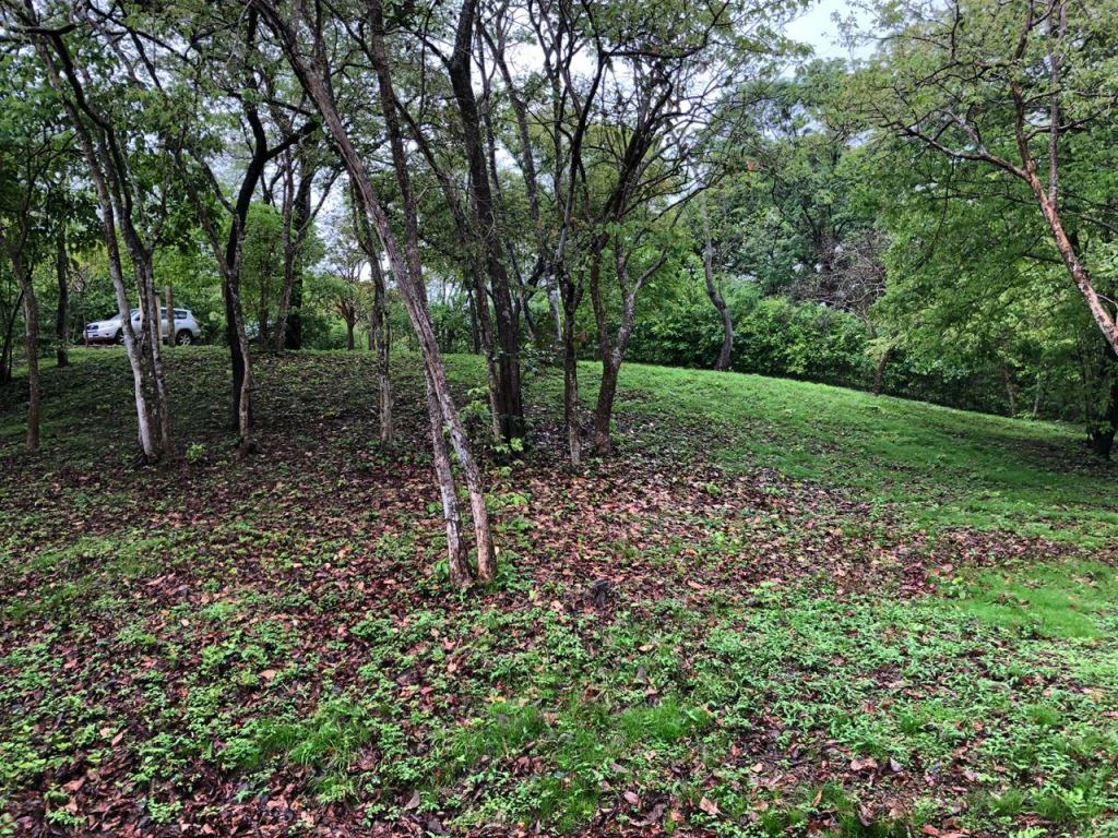 Lot in exclusive Residential, close to Beach Tamarindo - Gallery image 22