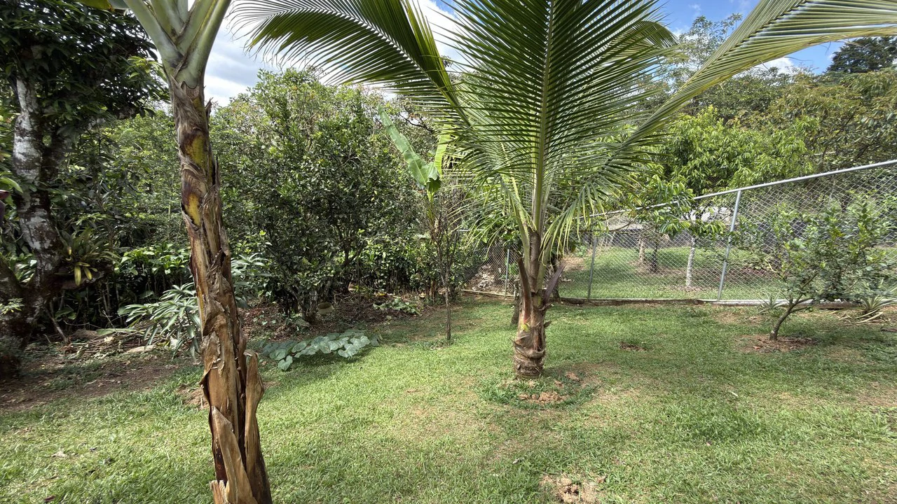 Countryside House For Sale in San Isidro del General - Gallery image 18
