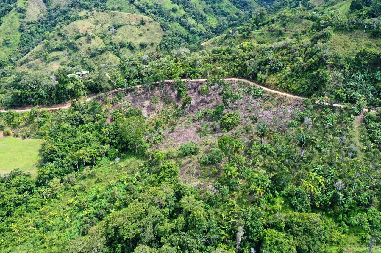 4.6 Acre Tropical Fruit Farm with Elevated Homesite & Valley Views San Isidro - photo 10