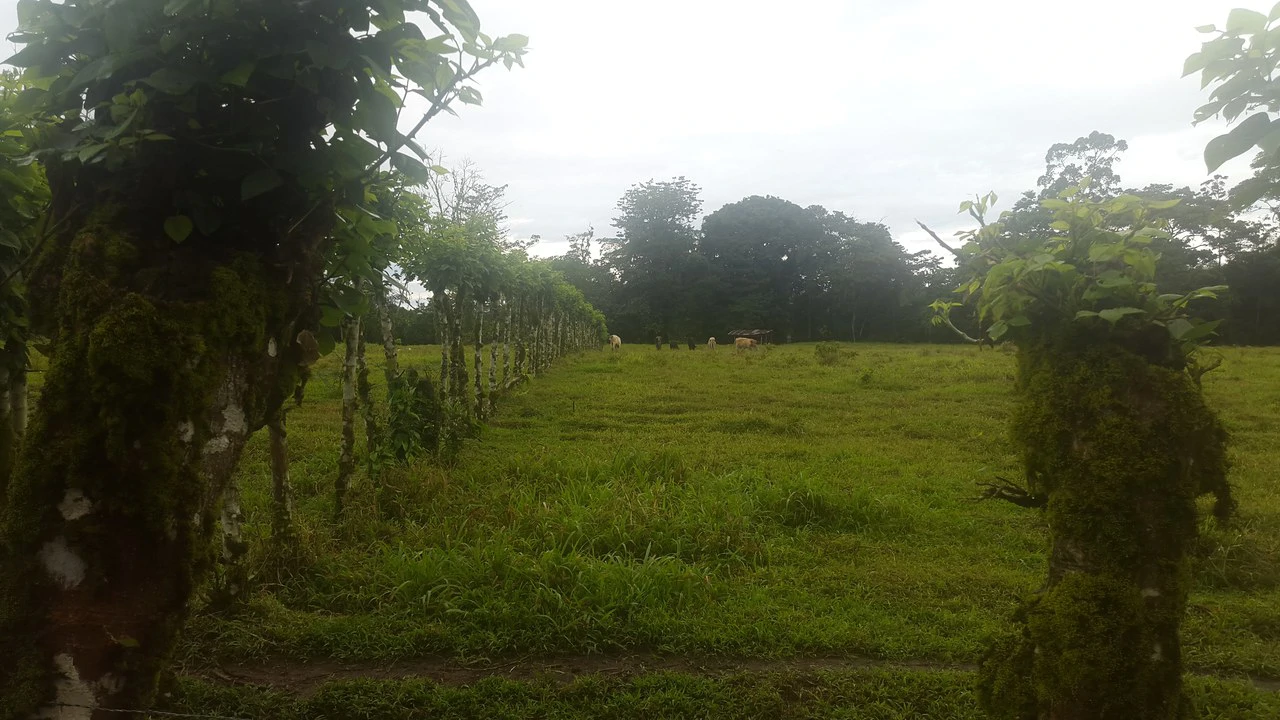 Countryside Development Parcel For Sale in Cariari - Gallery image 14