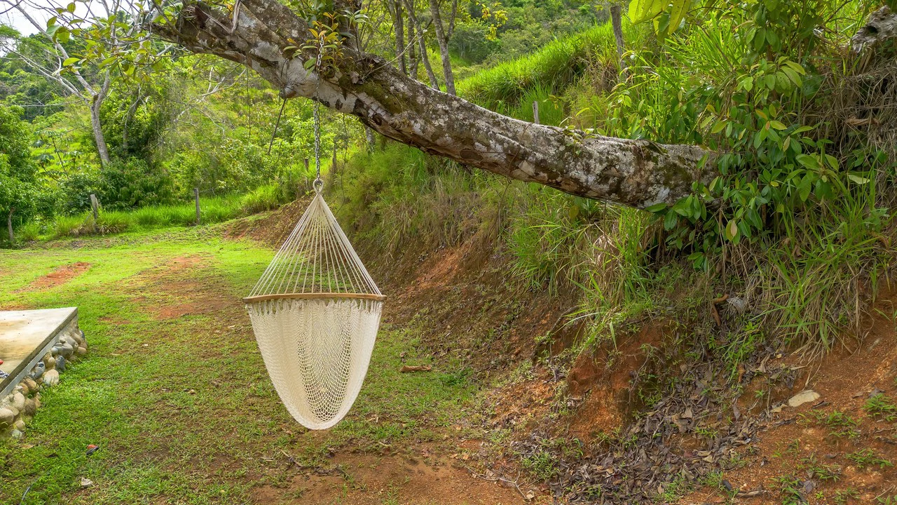 60+ Hectares in Platanillo | Own Your Own Mountain in Costa Rica - Gallery image 29