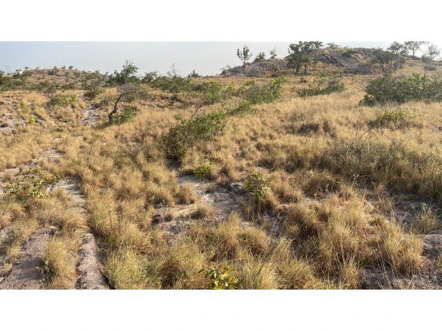 Zoning for homes, apartments, and warehouses in the mountains of Liberia, Beautiful 9.7 ha land with building permits - Gallery image 6