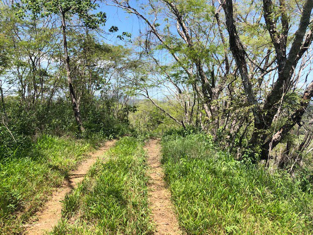Amazing 50% discount for Huge ocean-view farm for sale surrounded by soft rolling hills and pristine nature - Gallery image 10